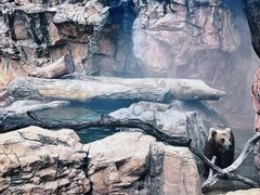 -珠海长隆海洋王国