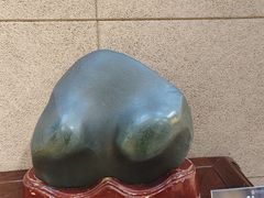 -中华赏石园