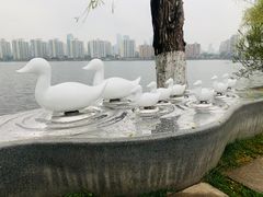 -莫愁湖公园