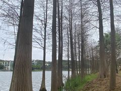 -东莞植物园