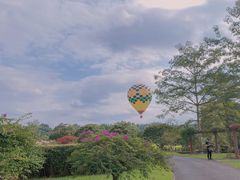 -中国科学院西双版纳热带植物园