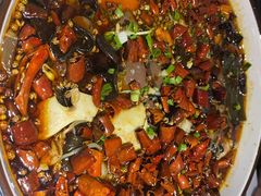 -雲蜀龙阁·金牌水煮鱼(方庄店)