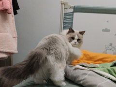 -沐沐家宠物(成寿寺店)