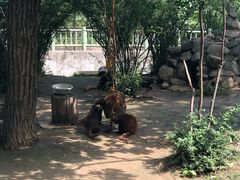 -西安秦岭野生动物园