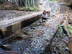 -林丰温泉度假山庄