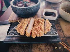-山杏yama-katsu·吉列炸物