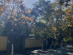 -颐和路民国时期公馆风貌区