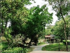 -广州市白云山风景名胜区