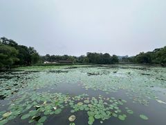 -承德避暑山庄景区