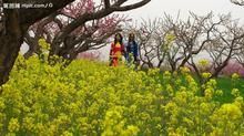 -常德桃花源景区