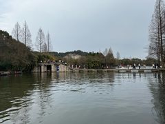 -鲁镇