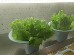-老马路串串香火锅(北门桥店)