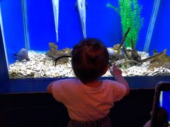 -蟹之国·精品蟹料理(极地店)