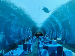 -海棠湾洲际-涛·海底餐厅·美人鱼·自助餐·海底隧道
