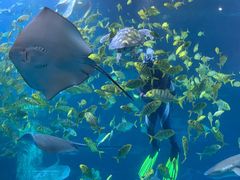 -太平洋海底世界