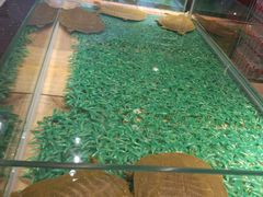 景观位-洪湘记川湘·甲鱼馆(四海凯悦美食广场店)