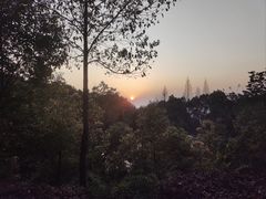 -铁山坪森林公园