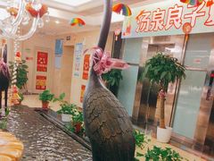 -汤泉良子.足疗按摩.SPA(中关村店)