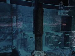 -沈阳海洋探索中心