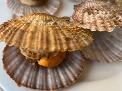 -东方红海鲜百汇(国际大厦店)