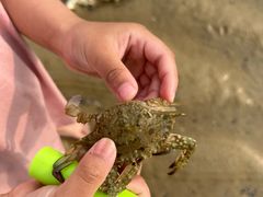 -北海银滩一号国际会议中心酒店