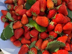 -龙门李家三旦羊肉汤馆