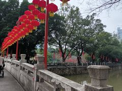 -晓港公园