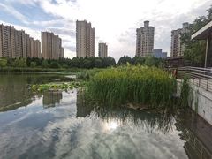 -昆山城市生态森林公园