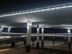 -演武大桥观景平台