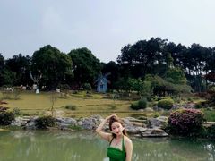 -铁山坪森林公园