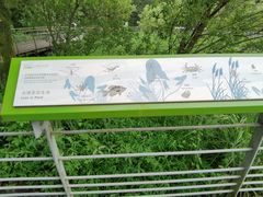 -西湖风景区-江洋畈生态公园