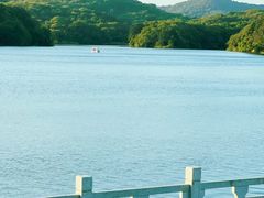 -佛手湖郊野公园