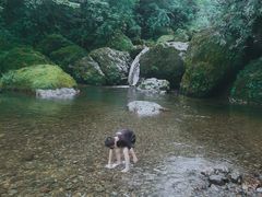 -龙苍沟森林公园