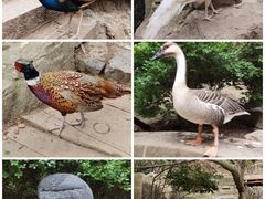 -大连老虎滩海洋公园