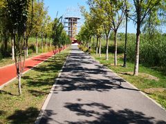 -永定河休闲森林公园