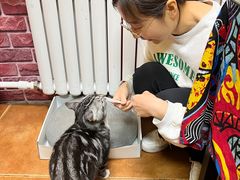 -弘烨 贵州酸汤 鱼火锅(东财店)