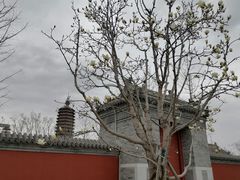 -西海子公园