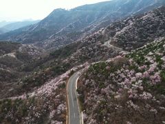 -妙峰山风景名胜区