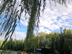 -团结湖公园