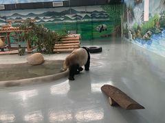 -柳州市动物园