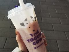 -一只酸奶牛(八一路店)