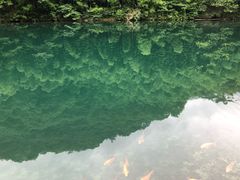 -祁门牯牛降观音堂风景区