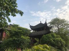 -铁山坪森林公园