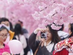 -金茂览秀城