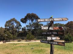 -威勒比开放式动物园