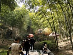 -天目湖山水园