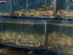 -渔中舟海鲜大排档(普陀沈家门店)