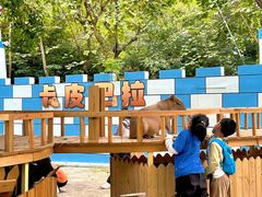 -深圳野生动物园