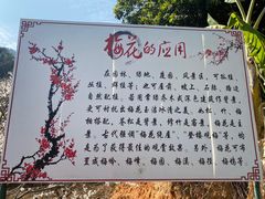 -广州市流溪河国家森林公园