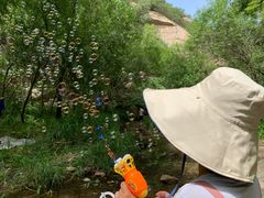 -碓臼峪自然风景区